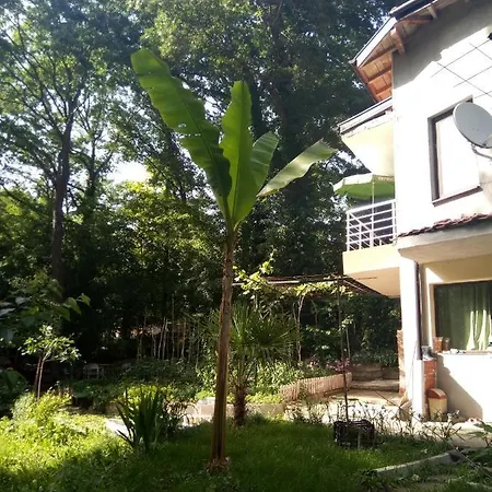 Guest house Apartment's Pita & Mare